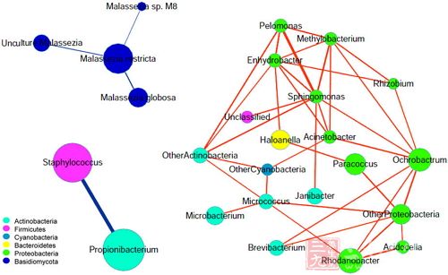 JDB电子试玩网页版