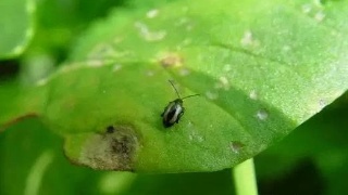 JDB电子游戏官网