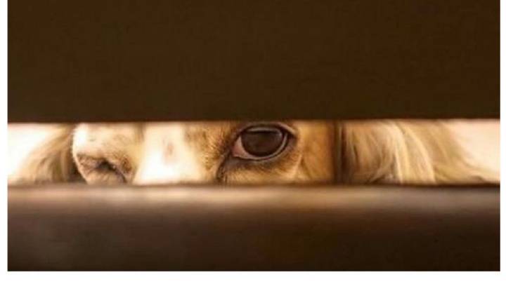 JDB电子游戏官网