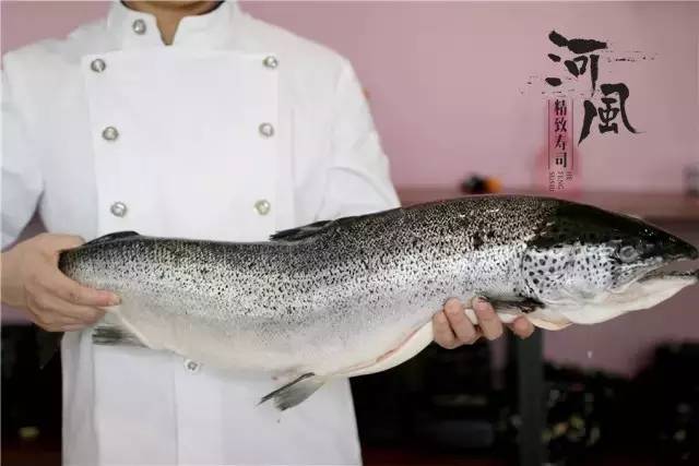 ‘JDB电子游戏官网’受台风“杜鹃”影响 浙江奉化积水严重(图)(图1) JDB电子游戏官网