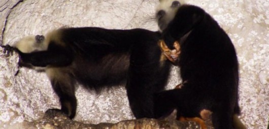 JDB电子试玩网页版