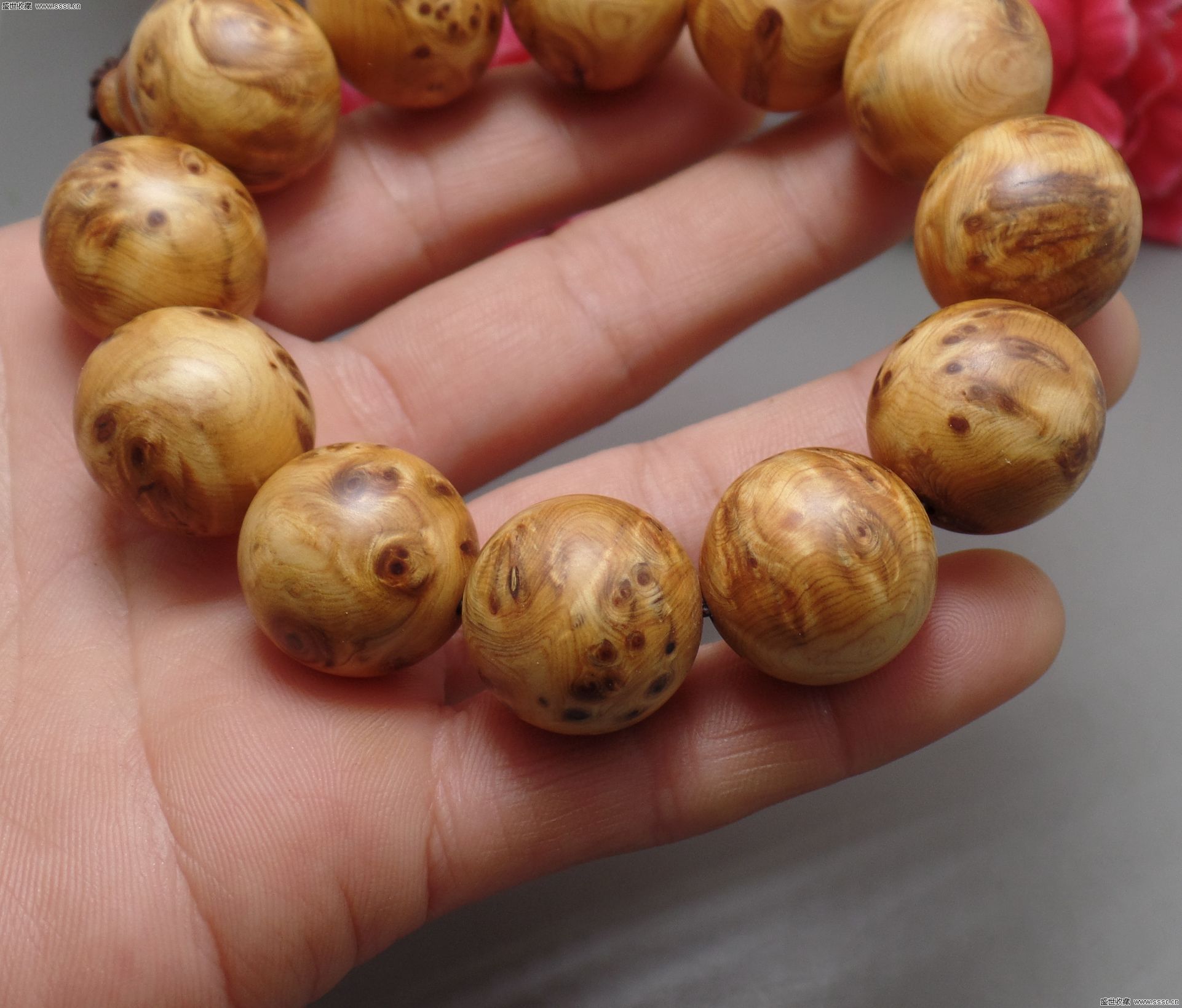 JDB电子试玩网页版