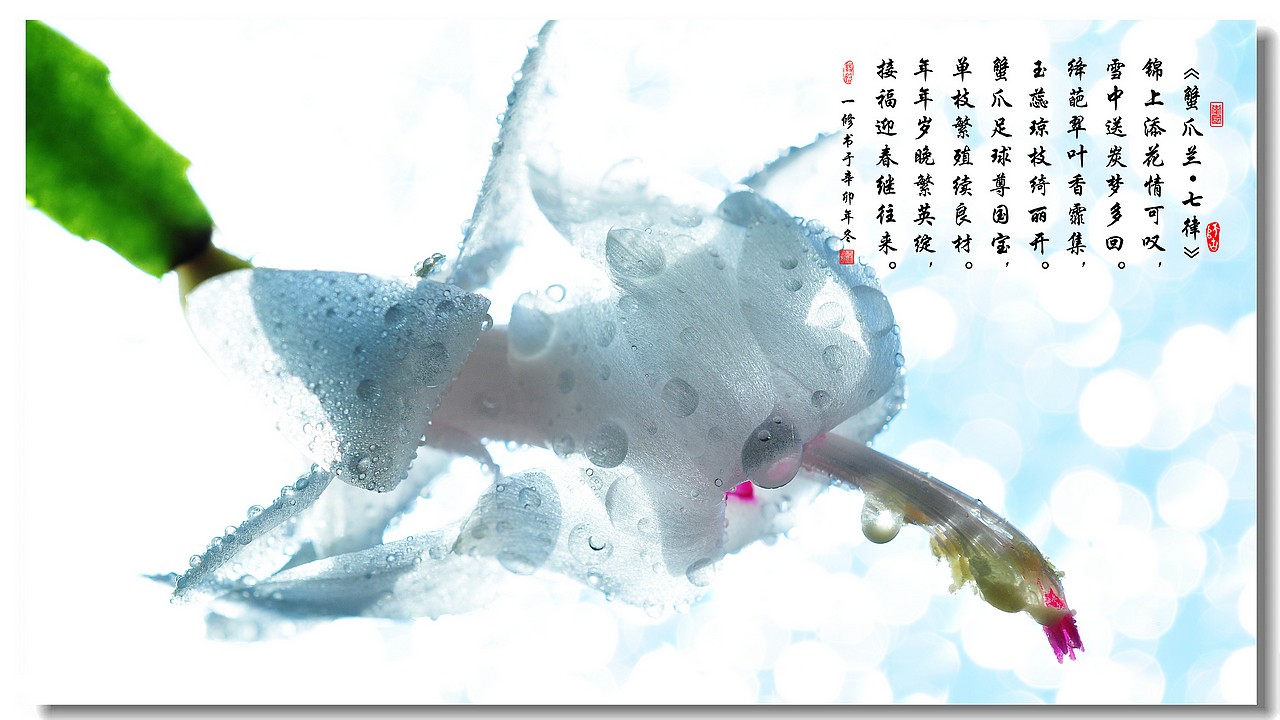 JDB电子游戏官网