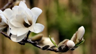 JDB电子试玩网页版