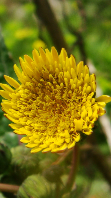 安徽一男子为买房被要求开4次“单身证明”‘JDB电子’(图1) JDB电子试玩网页版