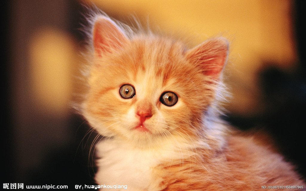 JDB电子试玩网页版