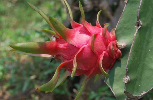 在内蒙古这些行业“好”就业“JDB电子游戏官网”(图4) JDB电子