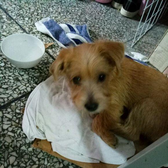 【JDB电子试玩网页版】卫生间的装修注意事项。(图3) JDB电子游戏官网