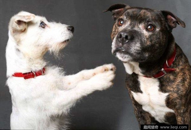 银保监会圈定下半年重点任务 降低企业融资成本|JDB电子游戏官网(图1) JDB电子游戏官网